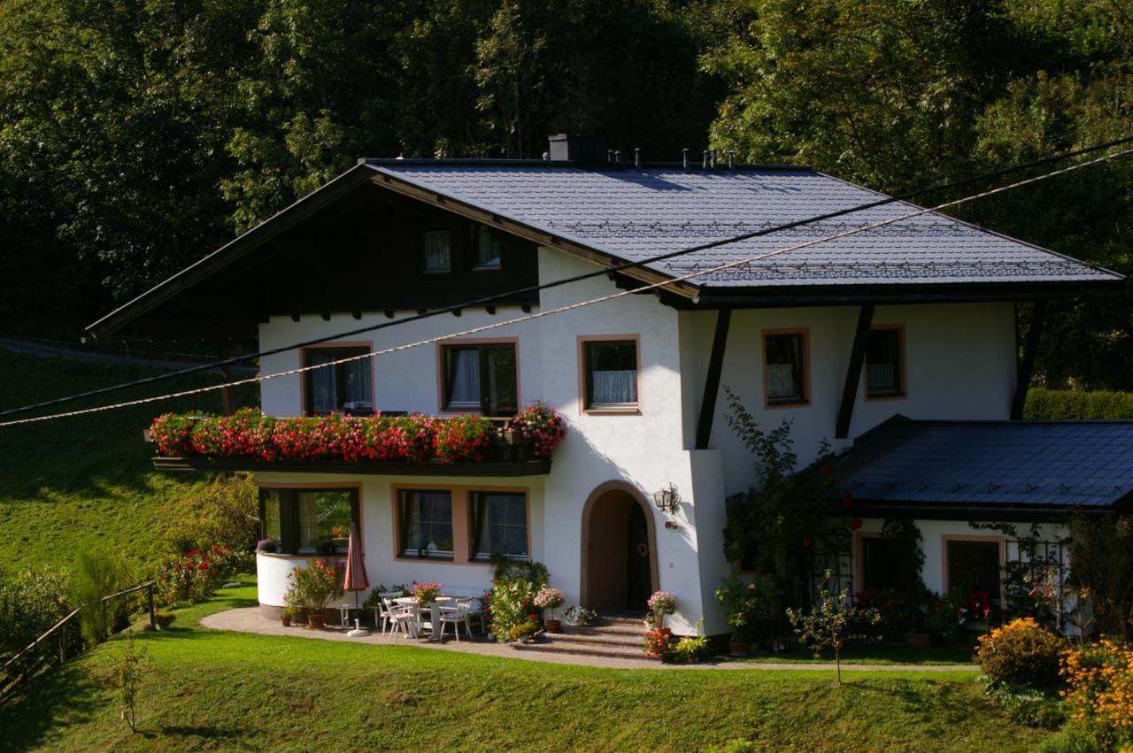 Haus Brigitte Rettensteiner Шладмінг Екстер'єр фото